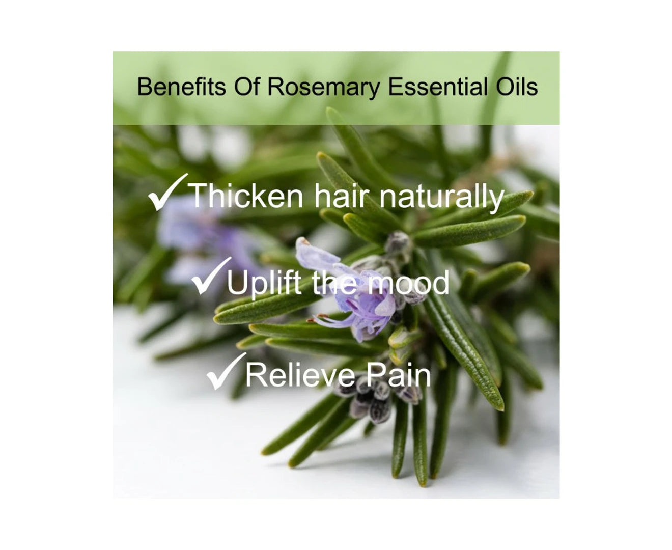 Rosemary Oil for Thin Hair Care, Hair Loss, Scalp, Beard, Hair Growth 10Ml. 100% Pure Essential Oil