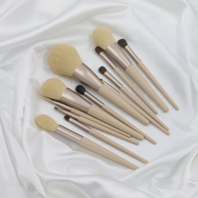 Makeup Brushes Set Of 12with sheep leather bag